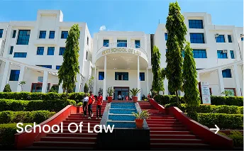 School Of Law